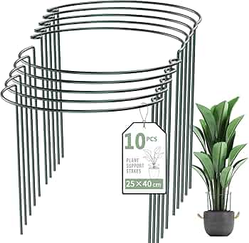 Amazon | SZMDLX 植物支柱 10個セット 25cmx40cm 半円形 花ささえ つる